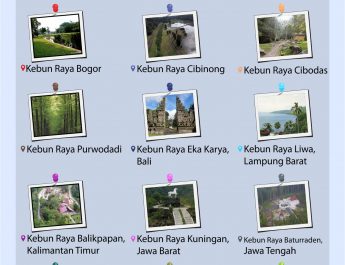 [INFOGRAFIS] 12 Kebun Raya yang Mengalami Penataan