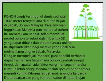 [INFO GRAFIS] Menara Pohon Tropis Tertinggi di Dunia