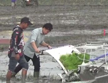 Wapres Gibran bersama Mentan tanam padi dengan mesin di Ngawi