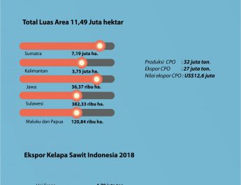 [INFO GRAFIS] Kelapa Sawit Indonesia