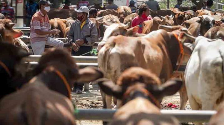 Pemprov DKI Minta Pelaksanaan Ibadah Kurban Terapkan Prinsip Eco Qurban