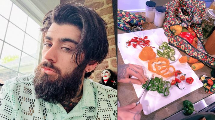 Zayn Malik Rilis Koleksi