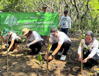 Marriott Tanam 10 Ribu Mangrove di Seluruh Indonesia Sambut Hari Lingkungan Hidup 2025