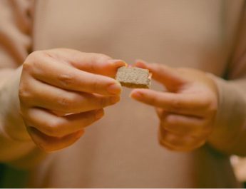 Terasi Udang: Cita Rasa Khas Nusantara yang Tak Pernah Mati Gaya