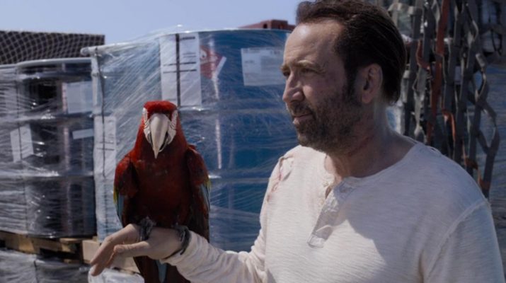 Primal: Sinopsis, Pemain, dan Platform Tayang