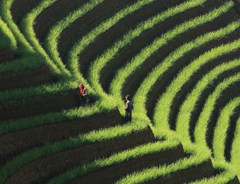 10 Wisata Majalengka yang Lagi Viral, Wajib Dikunjungi!