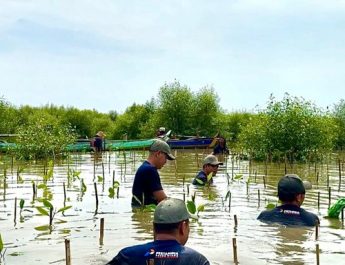Pertamina tanam 2.000 bibit mangrove di Ujung Pangkah Gresik