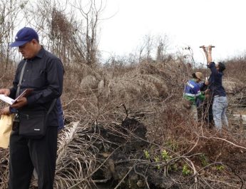 KLH menangkan gugatan terhadap PT BKI Musi Banyuasin Sumsel