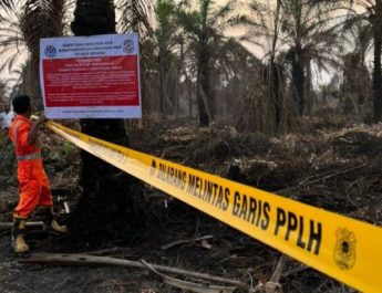 Karhutla di Riau, KLH segel 4 perusahaan perkebunan dan tutup 1 pabrik sawit
