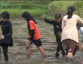 Isi Liburan Sekolah dengan Belajar Tanam Padi di Sari Ater