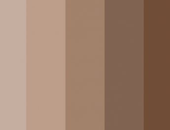 Warna Coksu Cocok dengan Warna Apa? Panduan Lengkap Kombinasi Terbaik