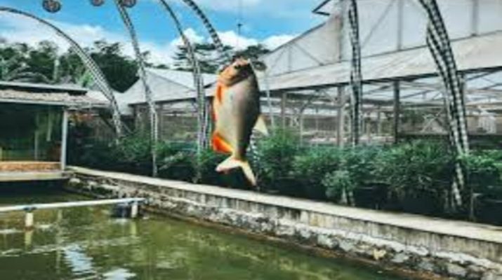 10 Tempat Mancing di Jakarta Terbaik untuk Libur Akhir Pekan