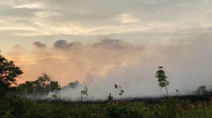 Kebakaran lahan di jalan Bandara Singkawang semakin meluas
