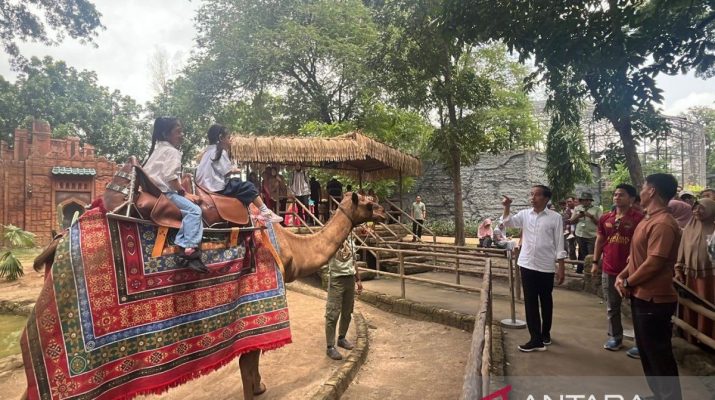 Libur akhir tahun, Jokowi ajak para cucu tamasya ke Solo Safari