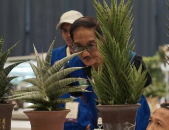 FLOII 2024 segera digelar, pamerkan beragam genetik tanaman hias