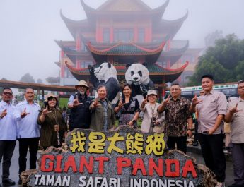 Wakil Menteri Pariwisata tinjau kesiapan Taman Safari sambut wisatawan