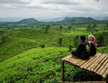 Kebun Teh Ciater Subang: Destinasi Liburan dan Healing