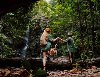Jelajahi Dunia Jurassic di Pulau Krabi