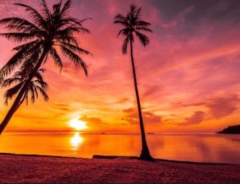 Sunset Adalah: Pengertian, Sinonim, dan Contoh Kalimat untuk Pemula