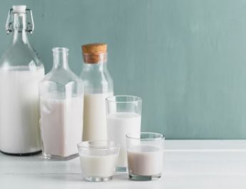 Asal Usul dan Cara Membuat Susu Ikan yang Lezat dan Bergizi