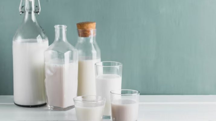 Asal Usul dan Cara Membuat Susu Ikan yang Lezat dan Bergizi