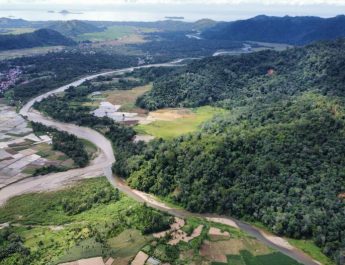 Dishut Sumbar: Menhut pesan pentingnya jaga kelestarian satwa endemik