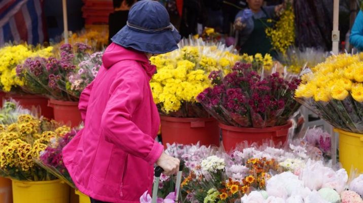 Hong Kong gelar pertunjukan lampion dan pekan raya jelang Imlek