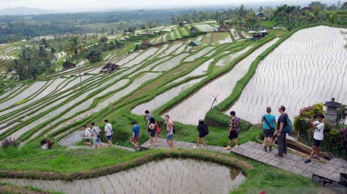 Kemenpar diharap buat "blue print" bagi desa peraih penghargaan dunia