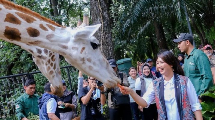Wakil Menteri Pariwisata tinjau fasilitas Taman Margasatwa Ragunan