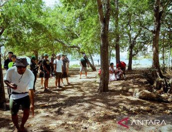 Pemerintah pastikan keamanan Taman Nasional Komodo selama liburan