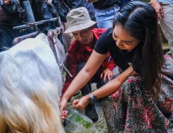 Wamenpar: Peluang dan tantangan dua desa wisata di Yogyakarta