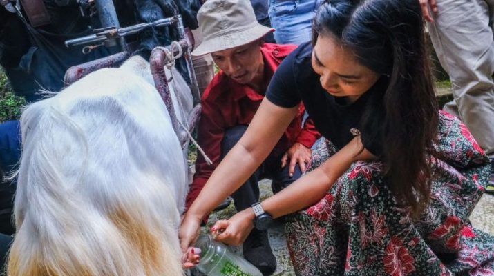 Wamenpar: Peluang dan tantangan dua desa wisata di Yogyakarta