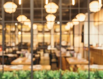 Krisis Restoran Vegan: Kenapa Banyak yang Tutup Atau Menjual Menu Daging