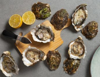 5 Manfaat Kerang Abalon bagi Kesehatan Tubuh