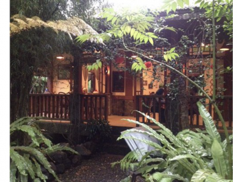 20 Tempat Kuliner Salatiga Instagramable yang Wajib Dikunjungi di 2025