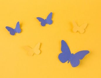 Apa Itu Butterfly Era? Tren Viral TikTok yang Bikin Jatuh Cinta!