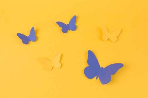 Apa Itu Butterfly Era? Tren Viral TikTok yang Bikin Jatuh Cinta!