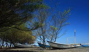 7 Fakta Menarik Muara Pandansimo: Pesona Pantai Bantul yang Unik