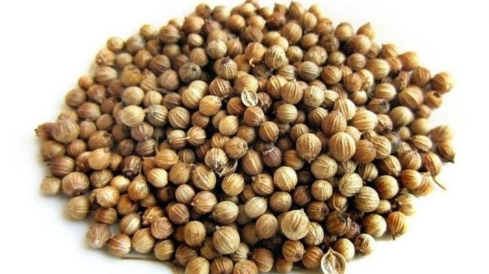 Fungsi Ketumbar dalam Masakan: Rahasia Cita Rasa Lezat