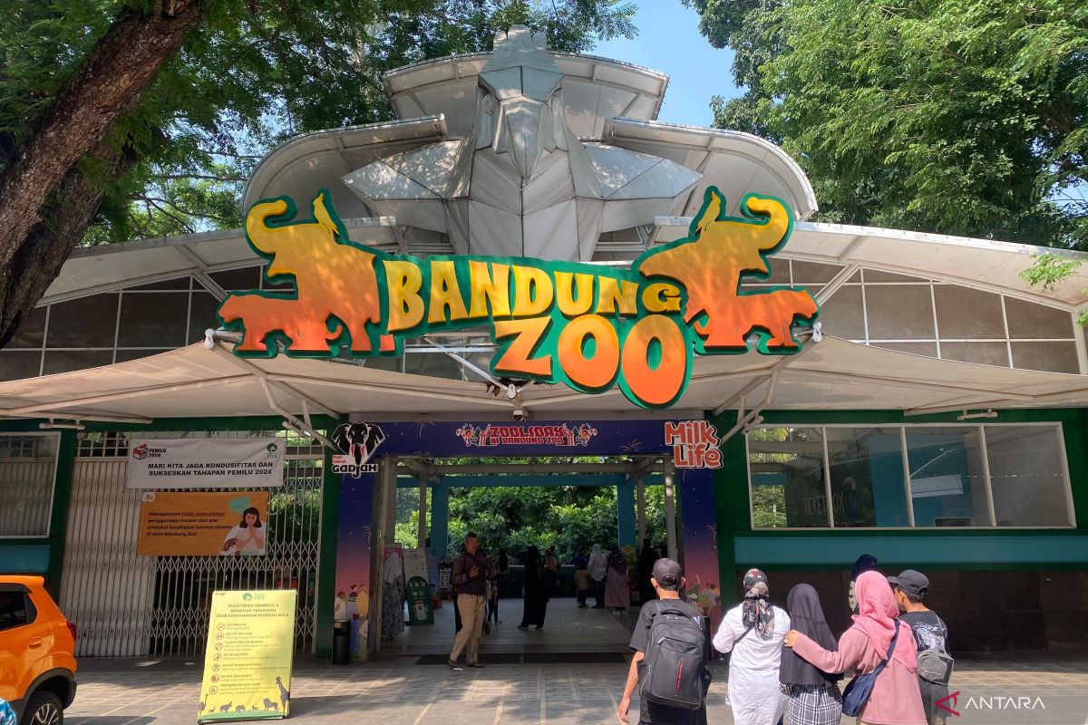 Gubernur Dedi Mulyadi: BUMD Jabar siap ambil alih kelola Bandung Zoo