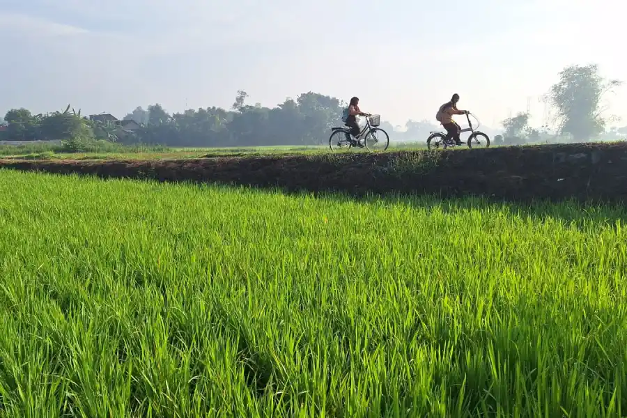 foto beritajatim