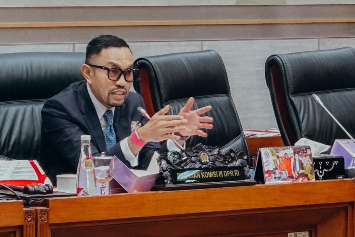 Komisi III DPR minta hakim ad hoc semakin profesional usai Prabowo teken perpres