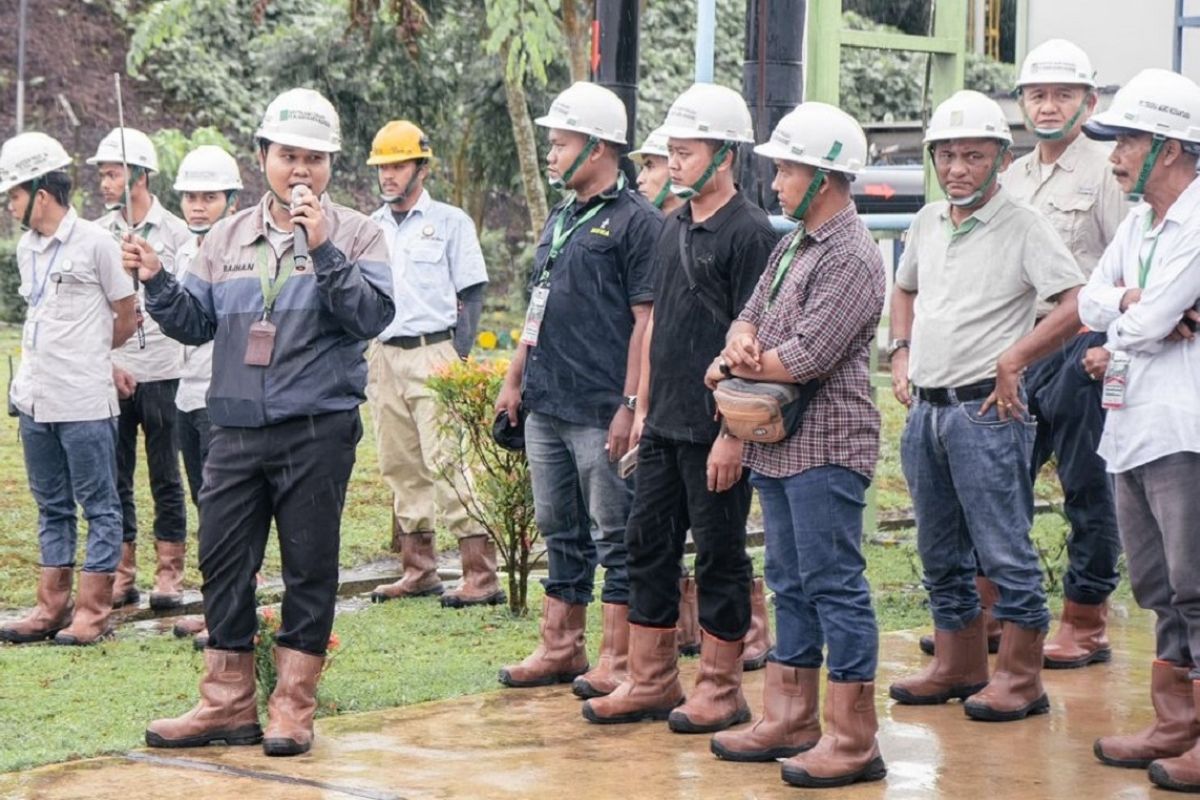 Bungaran Saragih:  Indonesia harus maksimalkan produktivitas sawit
