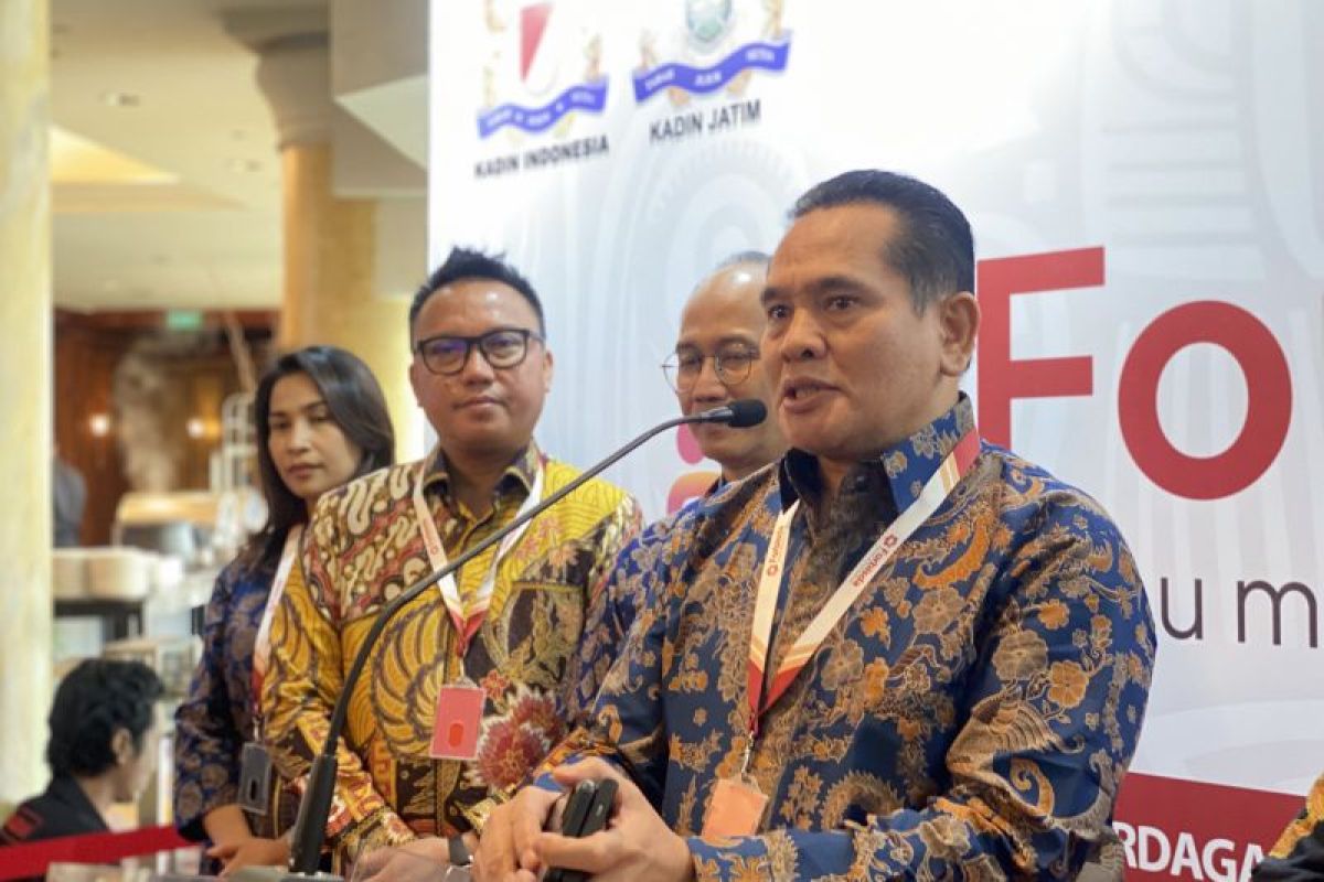 Kadin: Pemerataan akses teknologi pacu pemanfaatan AI untuk bisnis