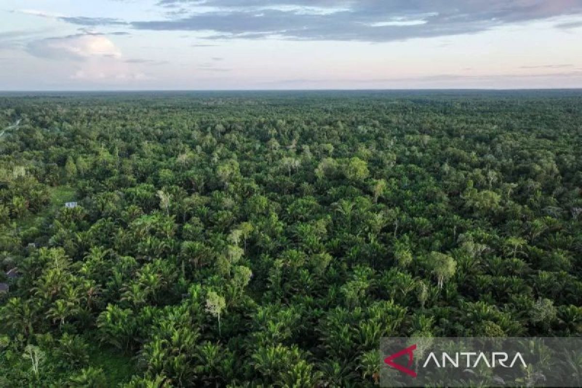 Etnosains dan masa depan pembangunan di Papua