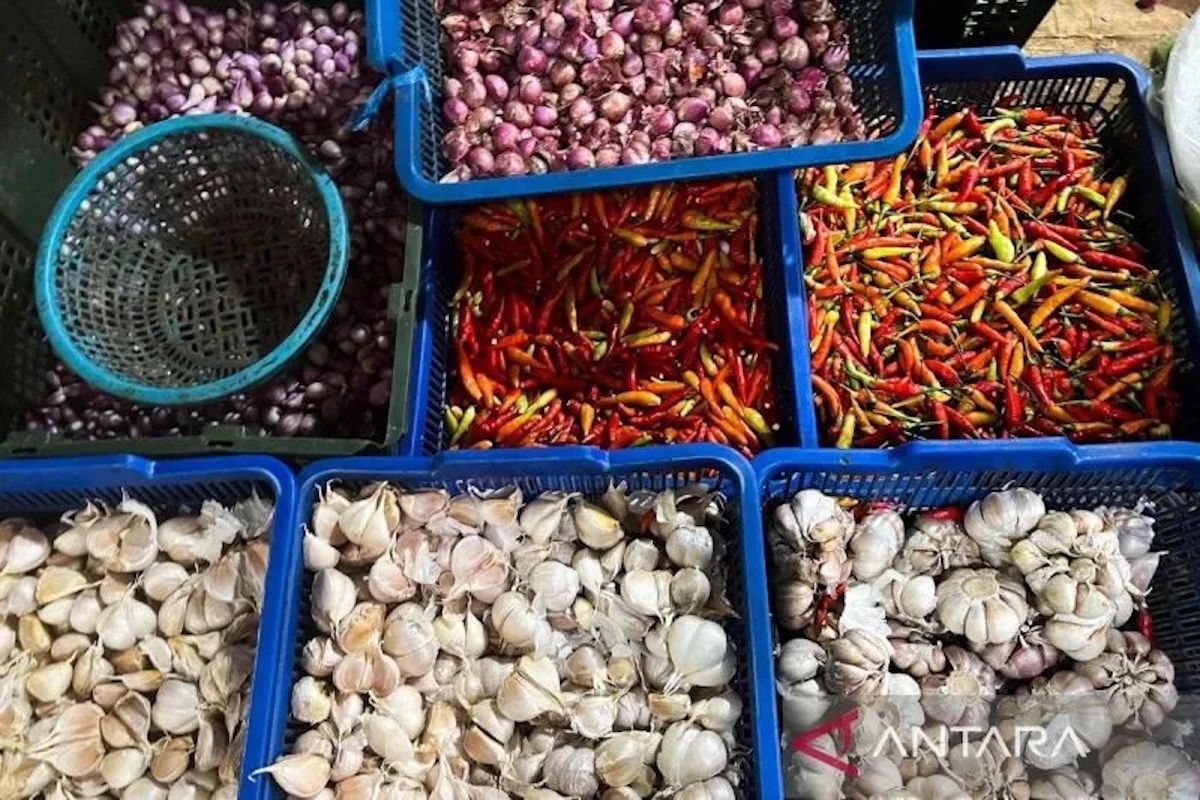 PIHPS: Harga cabai rawit Rp61.150 per kg, telur ayam Rp30.850 per kg