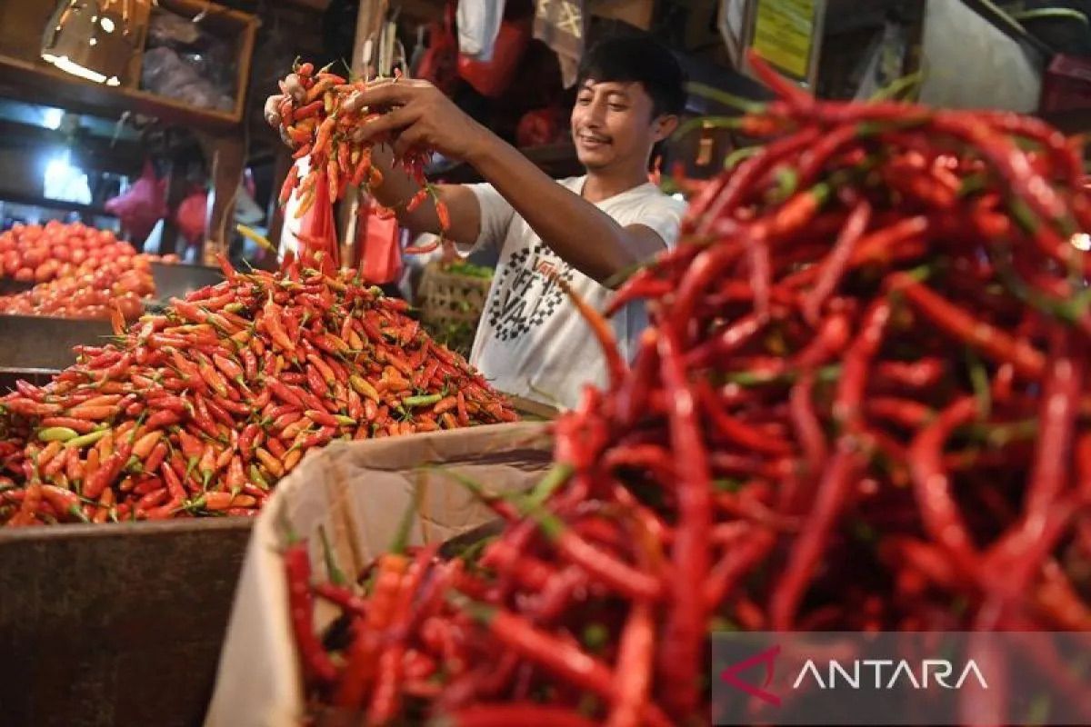 PIHPS: Harga cabai rawit Rp65.350/kg, telur ayam Rp31.150/kg