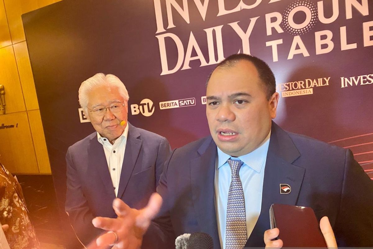 CIO Danantara: PT DSI jalankan bisnis dengan orientasi profit