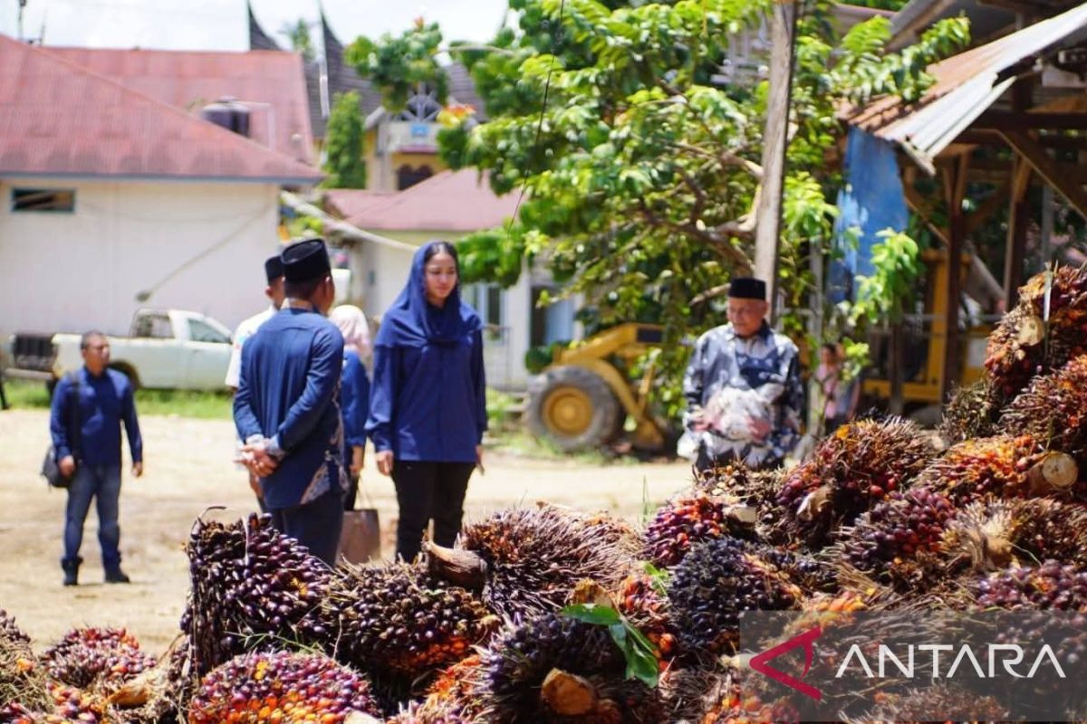 Pemkab Dharmasraya minta PKS tidak turunkan harga TBS secara sepihak 