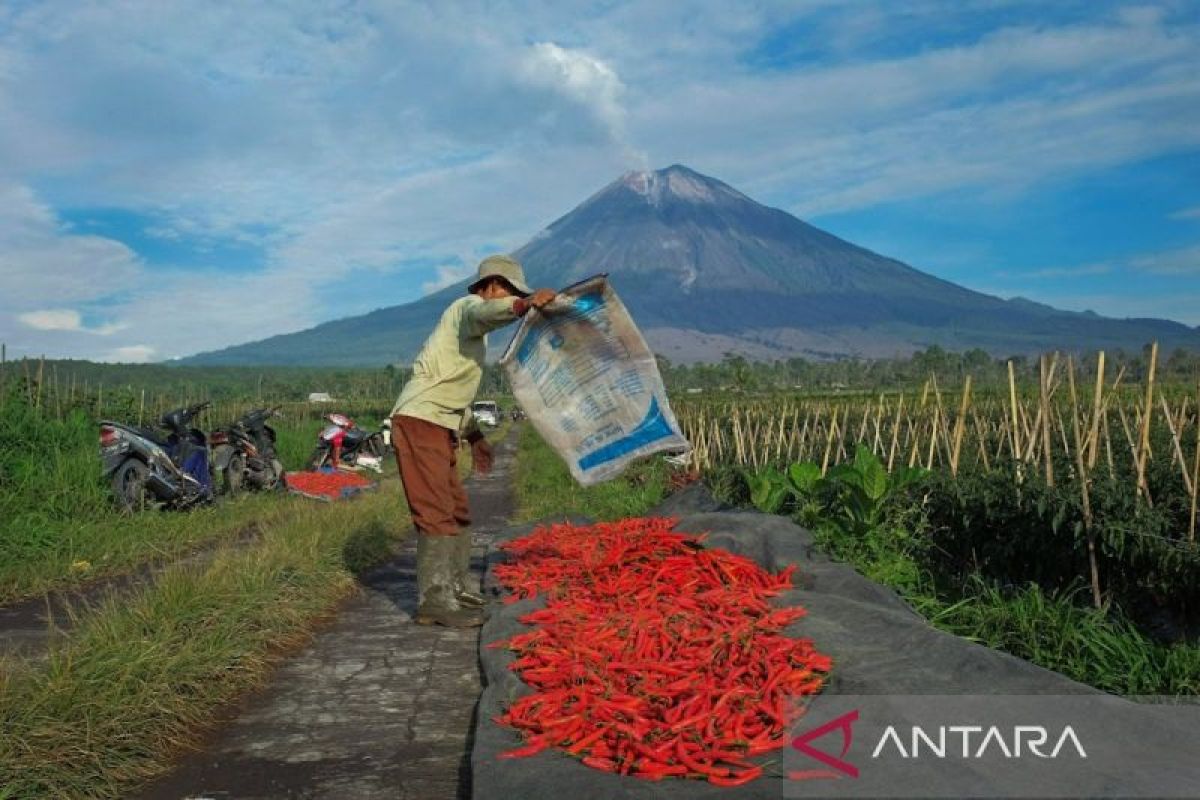 Penyaluran KUR oleh BRI capai Rp65,95 triliun hingga April 2026
